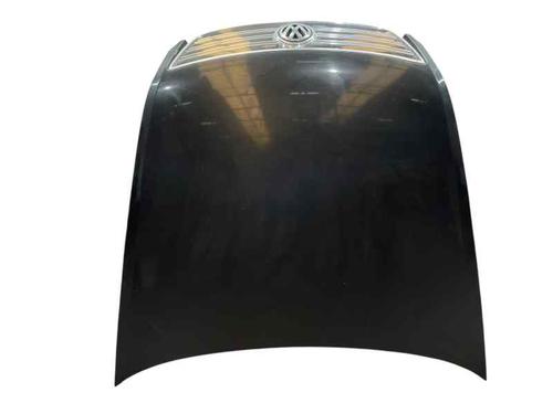 Motorhjelm VW PHAETON (3D1, 3D2, 3D3, 3D4, 3D6, 3D7, 3D8, 3D9) 3.2 V6 (241 hp) 29021620