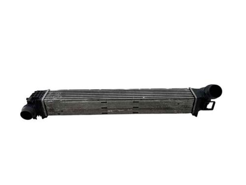Used Intercooler RENAULT MEGANE III Hatchback (BZ0/1_, B3_) 1.5 dCi (106 hp) 30051784