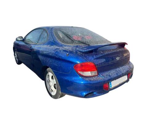  - Image 7
