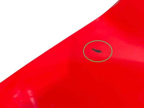 Right front fenders FORD FIESTA VI (CB1, CCN) 1.25 | BP25212653C42 