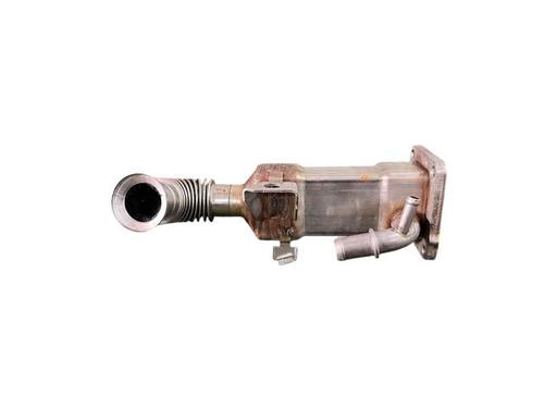 Egr RENAULT SCÉNIC II (JM0/1_) 1.9 dCi (JM0G, JM12, JM1G, JM2C) (120 hp) 25213211