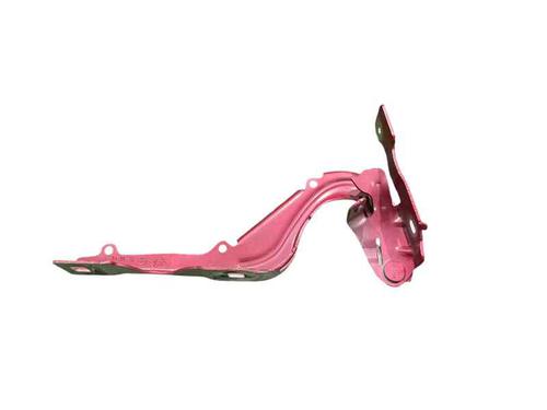 hingedoor-check-strap-citroen-c3-iii-sx-2016-24224096 main image