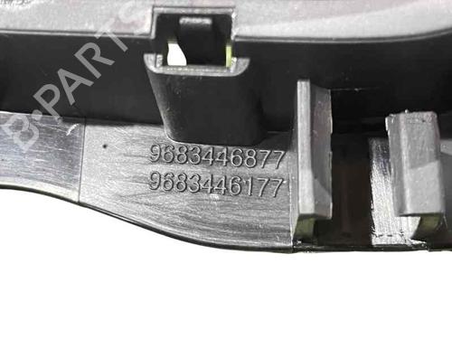 Rear left interior door handle CITROËN C3 II Hatchback Van (SC_) 1.4 HDi | BP24224620I15 
