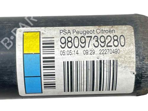 Right rear shock absorber CITROËN C4 CACTUS 1.6 HDi 90 | BP26900492M19 - Image 2