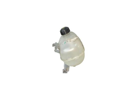 Expansion tank RENAULT TRAFIC III Van (FG_) 2.0 dCi 120 (FGMN) | BP25210877C120 
