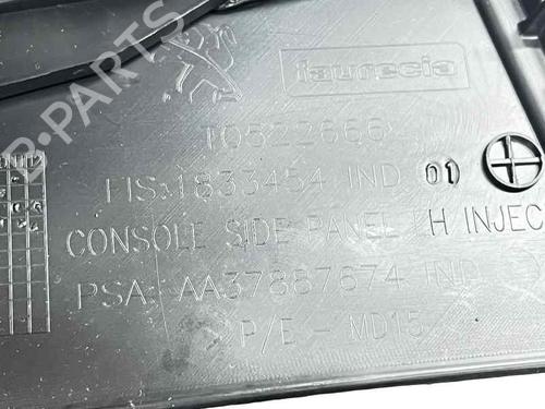 Middle console PEUGEOT 5008 II (MC_, MJ_, MR_, M4_) 1.2 THP (MRHNYH, MRHNYW, MRHNSJ, MRHNSU, MRHNSM) | BP31869837I22 