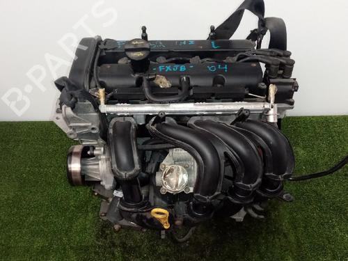Motor FORD FIESTA V (JH_, JD_) 1.4 16V (80 hp) 31683878