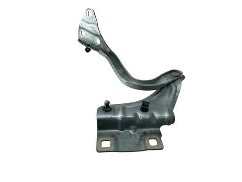 Used Hinge/Door check strap RENAULT MEGANE IV Hatchback (B9A/M/N_) 1.6 dCi 130 (B9A4) (130 hp) 30270951
