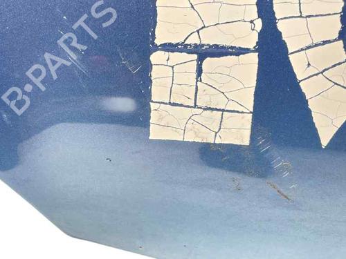 Capot Capot RENAULT KANGOO / GRAND KANGOO II (KW0/1_) 1.5 dCi 110 (KW0C, KW0H) (110 hp) 26018545 26018545