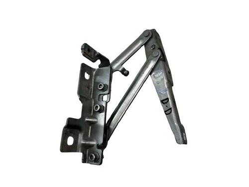 hingedoor-check-strap-opel-insignia-a-saloon-g09-2008-2009-2010-2011-2012-2013-2014-2015-2016-2017-32358336 main image