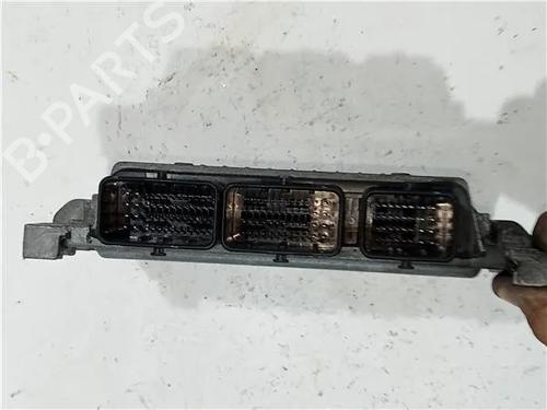 Elektronisk modul RENAULT MEGANE II Saloon (LM0/1_) 1.9 dCi | BP23919313M83 