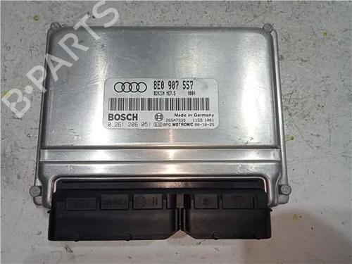 Module électronique AUDI A4 B7 (8EC) 2.0 TDI 16V (140 hp) 23917374
