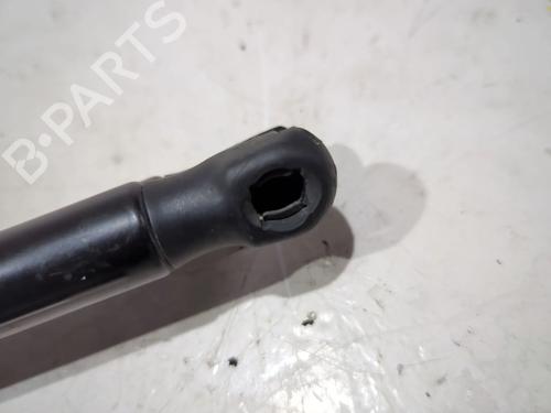 Tailgate lift support CITROËN C3 I (FC_, FN_) 1.4 i | BP27242421C138 