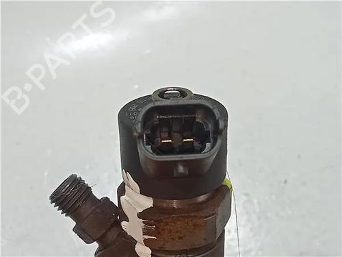 Injector RENAULT MEGANE II (BM0/1_, CM0/1_) 1.9 dCi (BM0G, CM0G) | BP23916098M100