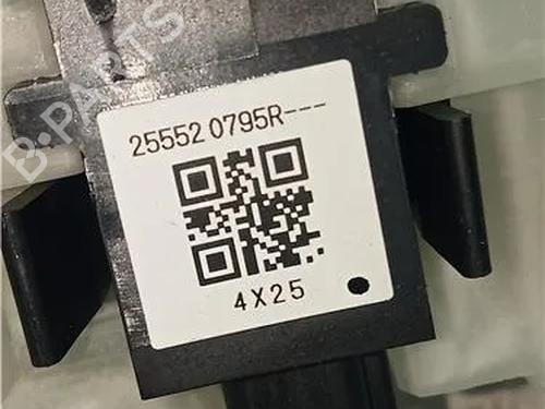 Switch RENAULT LAGUNA III (BT0/1) 2.0 dCi (BT01, BT08, BT09, BT0E, BT0K, BT12, BT1C, BT1D,... | BP23913210I30 