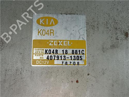 Electronic module KIA SPORTAGE SUV (K00) 2.0 TD 4WD | BP23919641M83 