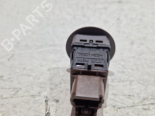 Switch RENAULT MEGANE IV Saloon 1.5 dCi 110 | BP29877460I30