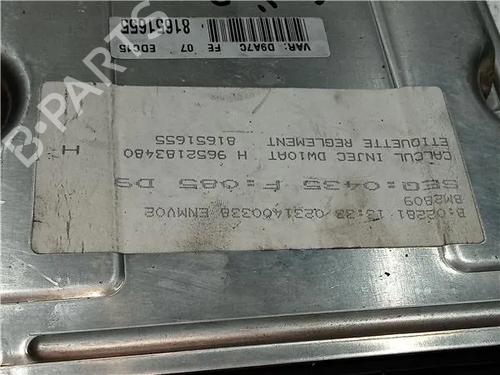 Electronic module PEUGEOT 406 (8B) 2.0 HDI 110 | BP23912976M83 