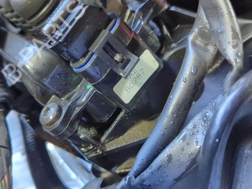 Motor RENAULT CLIO II (BB_, CB_) 1.2 16V (BB05, BB0W, BB11, BB27, BB2T, BB2U, BB2V, CB05,... | BP29396931M1 