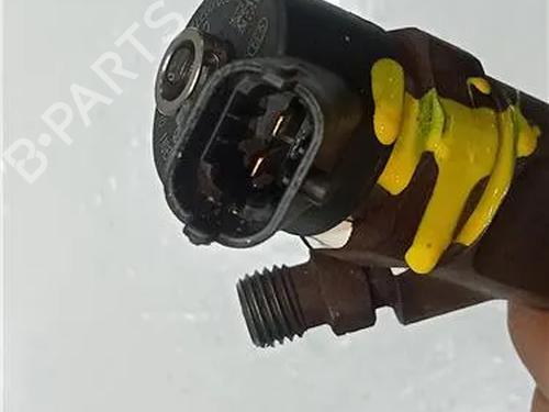 Injector RENAULT MEGANE II (BM0/1_, CM0/1_) 1.9 dCi (BM0G, CM0G) | BP23916050M100