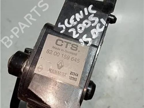 Pedal RENAULT GRAND SCÉNIC II (JM0/1_) 1.9 dCi (JM0G, JM12, JM1G, JM2C) | BP23929958I4 