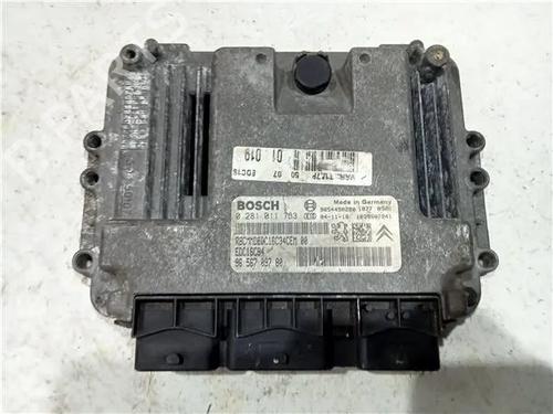 Elektronische module PEUGEOT 206 SW (2E/K) 1.4 (75 hp) 23929561