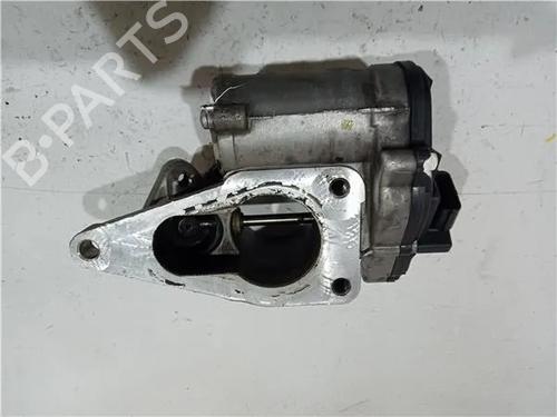 Egr RENAULT LAGUNA II Grandtour (KG0/1_) 1.9 dCi (KG0G) | BP23920273M69 