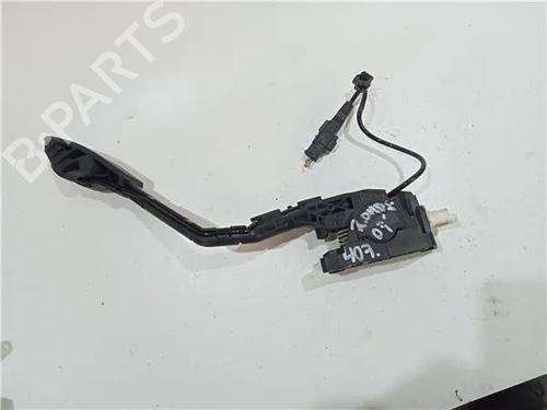 Pedal PEUGEOT 407 (6D_) 2.0 HDi 135 (6DRHRH, 6DRHRE, 6DRHRG, 6DRHRJ) | BP24968423I4 