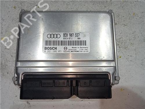 Used Electronic module AUDI A4 B7 (8EC) 2.0 TDI 16V (140 hp) 23917374