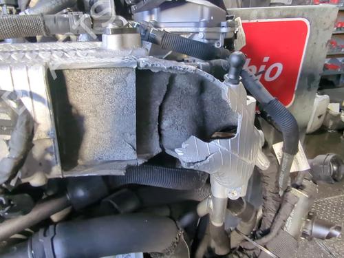 Engine SEAT LEON (KL1, KLG) 2.0 TDI | BP29398558M1 