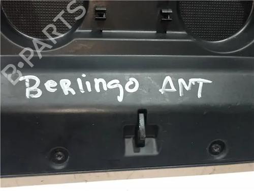 Glove box CITROËN BERLINGO / BERLINGO FIRST MPV (MF_, GJK_, GFK_) 2.0 HDi 4x4 (MFRHY) | BP23913497C95 