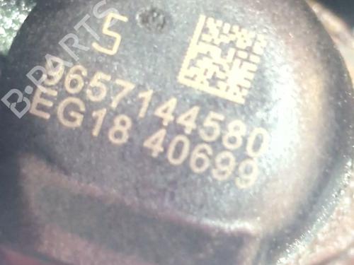 Engine PEUGEOT 407 (6D_) 2.0 HDi 135 (6DRHRH, 6DRHRE, 6DRHRG, 6DRHRJ) | BP28694546M1