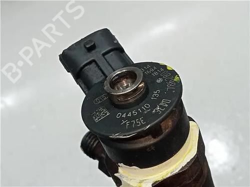 Injector PEUGEOT 206 Hatchback (2A/C) 1.4 HDi eco 70 | BP23915058M100
