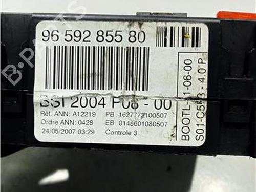 Used Fuse box RENAULT MEGANE III Hatchback (BZ0/1_, B3_) 1.5 dCi (86 hp) 23922420