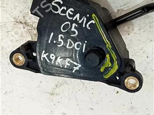 Pedal RENAULT GRAND SCÉNIC II (JM0/1_) 1.5 dCi (JM02, JM13) | BP23910263I4 