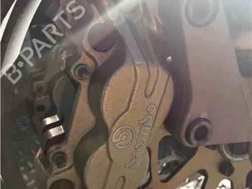 Right front brake caliper DUCATI MOTORCYCLES MONSTER (300cc - 899cc) Monster 600 Dark (M) | BP23913921M104 