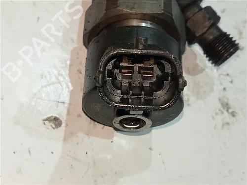 Injector RENAULT MEGANE II (BM0/1_, CM0/1_) 1.9 dCi (BM0G, CM0G) | BP23912971M100