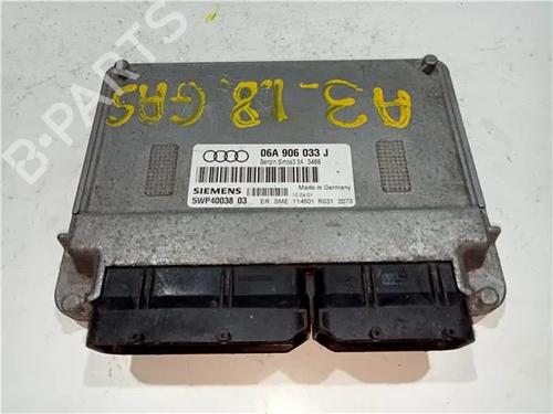 Elektronisk modul AUDI A3 (8L1) 1.9 TDI (110 hp) 23907669
