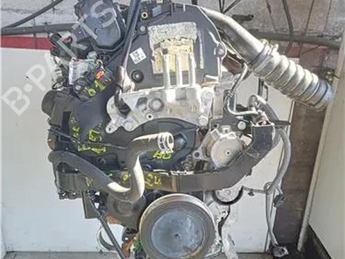 Used Engine FORD FIESTA VI (CB1, CCN) 1.5 TDCi (75 hp) 23919037