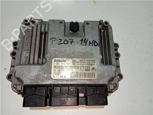 Elektronische module PEUGEOT 207 (WA_, WC_) 1.4 HDi (68 hp) 23930473