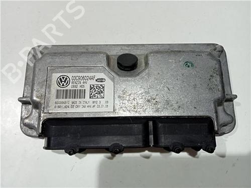 Used Electronic module SEAT IBIZA III (6L1) 1.9 TDI (131 hp) 23919409
