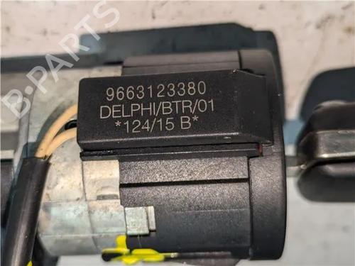 Used Ignition barrel PEUGEOT 207 (WA_, WC_) 1.4 HDi (68 hp) 23925199