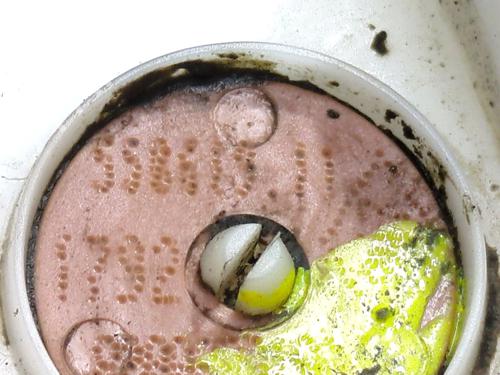 Fuel pump RENAULT KANGOO BE BOP (KW0/1_) 1.5 dCi 75 | BP29054216M76 