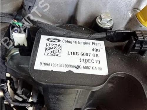 Engine FORD FIESTA VII (HJ, HF) 1.0 EcoBoost | BP23911403M1 
