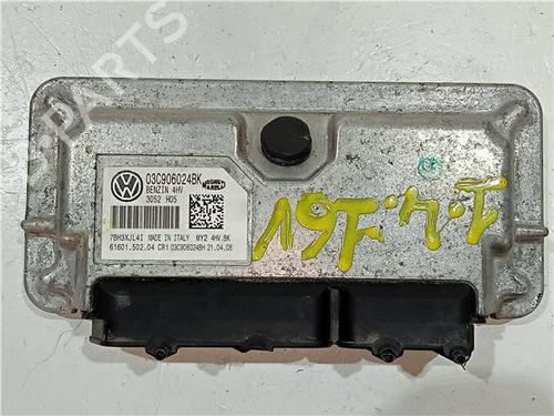Used Electronic module SEAT IBIZA III (6L1) 1.9 TDI (131 hp) 23907999