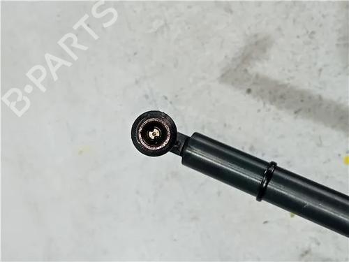 Injector NISSAN ALMERA II (N16) 2.2 Di | BP23921295M100 