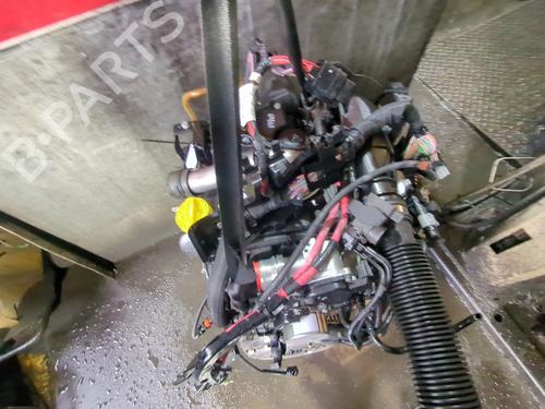 Engine RENAULT SCÉNIC III (JZ0/1_) 1.5 dCi | BP31250894M1