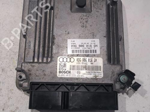 Elektronische module AUDI A4 B7 Avant (8ED) 2.0 TDI 16V (140 hp) 24200194