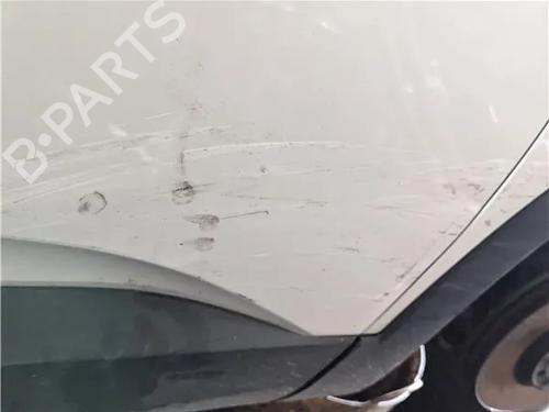 Right front door OPEL GRANDLAND / GRANDLAND X (A18, P1UO) 1.6 Turbo D (75) | BP23924486C3