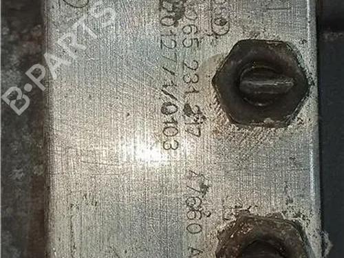 ABS pump NISSAN PRIMERA Hatchback (P12) 2.0 | BP23919925M43 